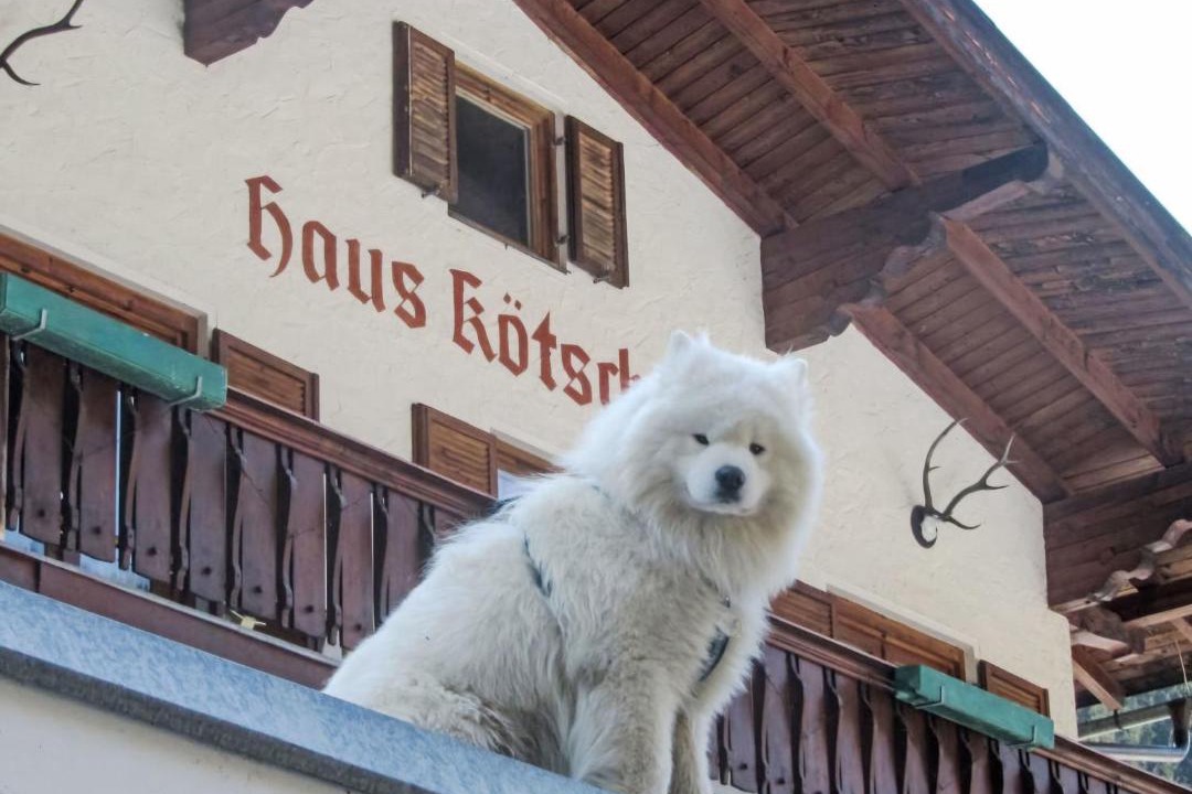 Photo of Others in Bad Gastein