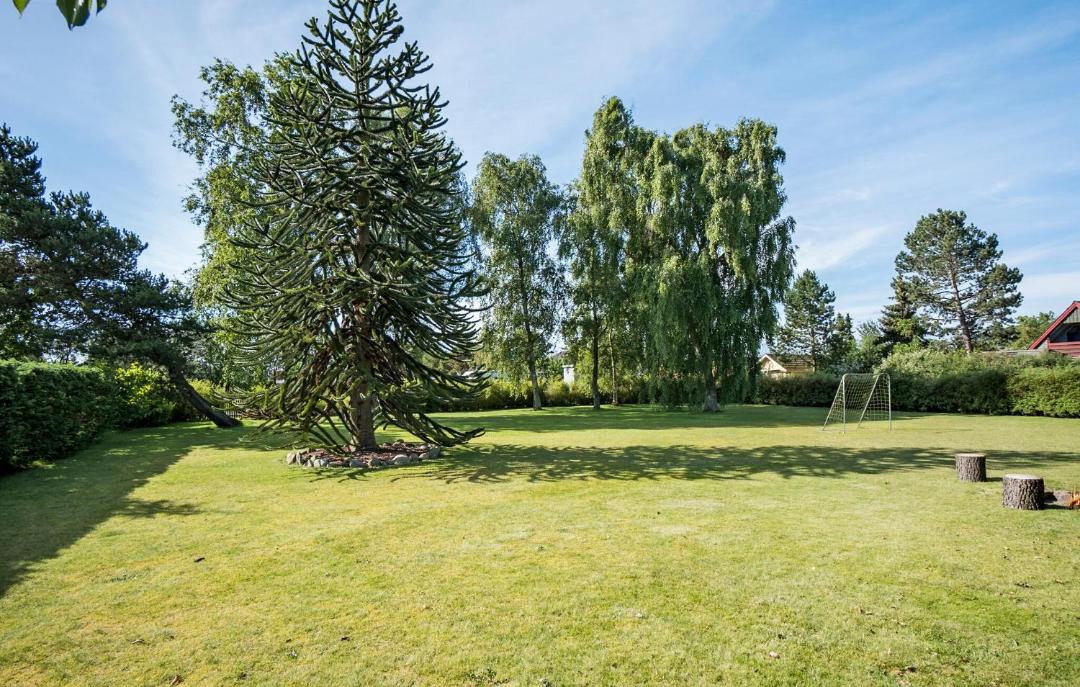 Photo of Others in Vejlby Fed