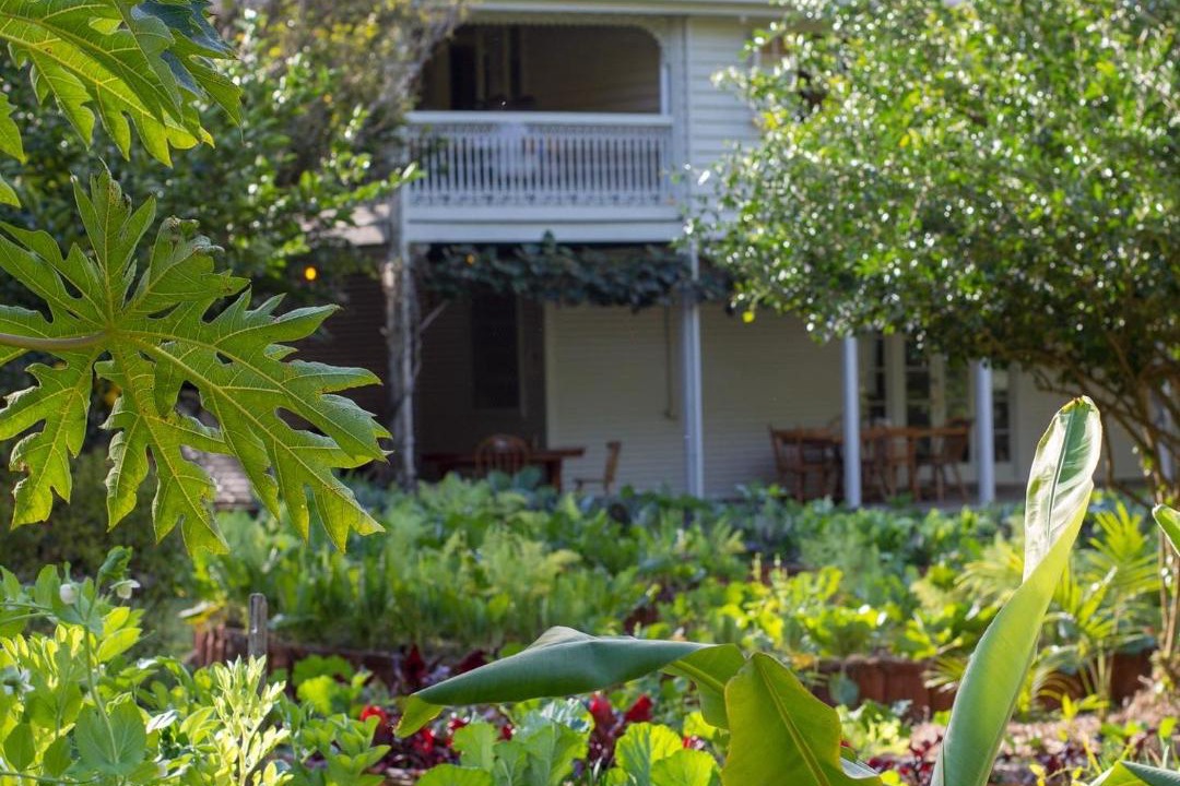 Photo of Buildings in Mount Warning