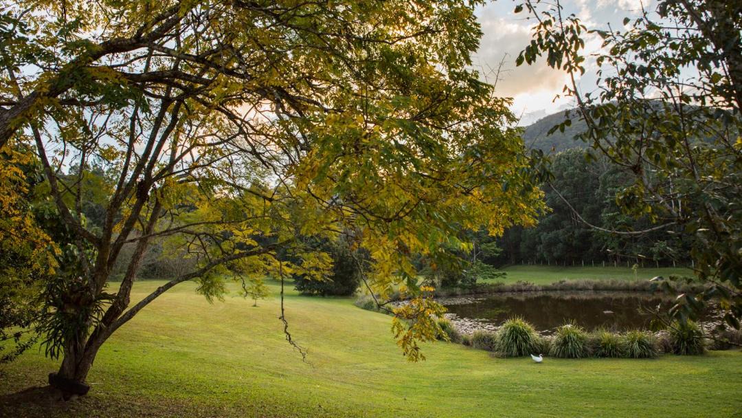 Photo of Others in Mount Warning