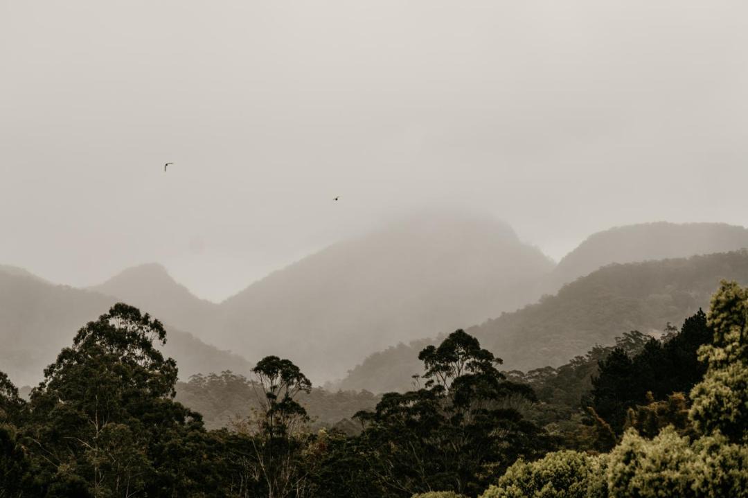 Photo of Others in Mount Warning