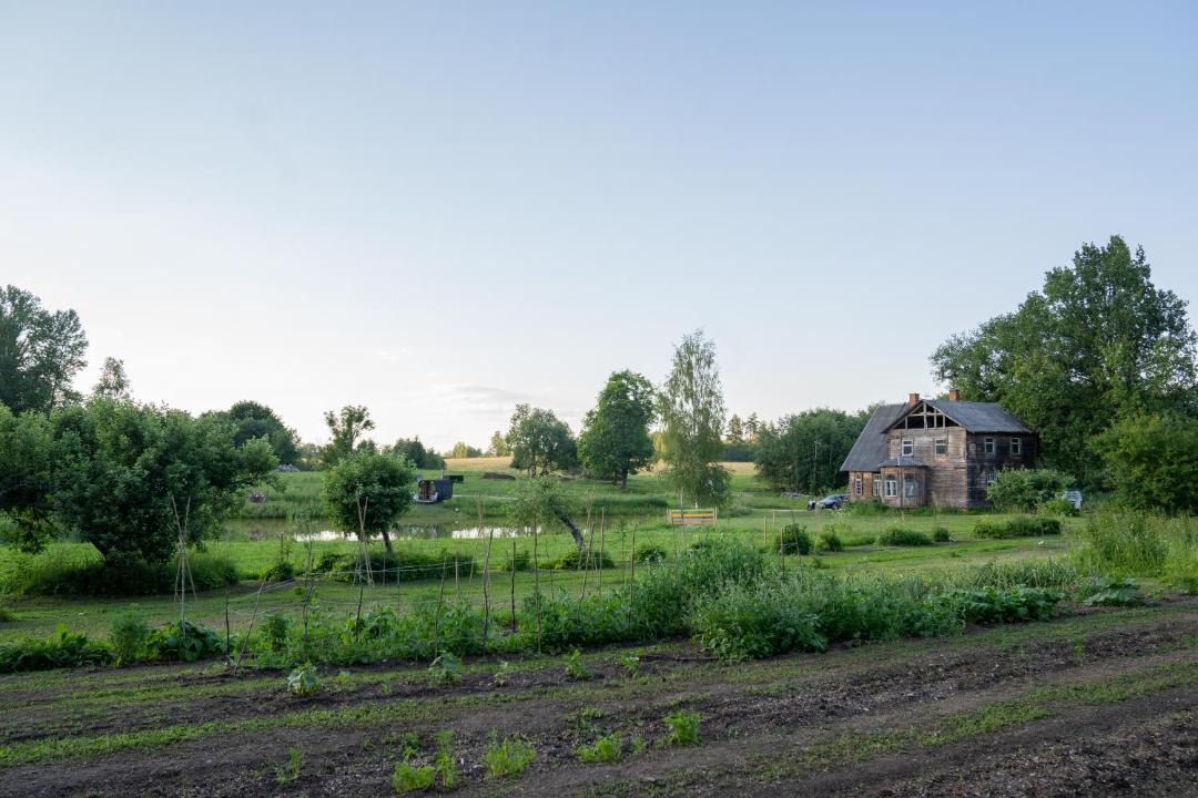Photo of Others in Torva