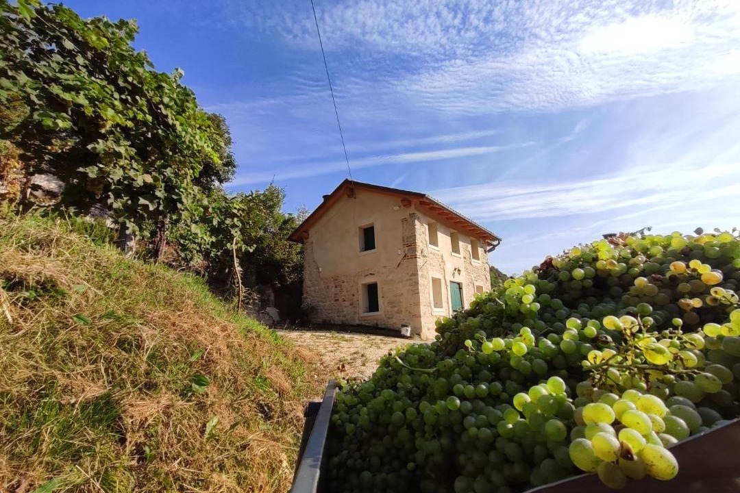 Photo of Others in Farra di Soligo