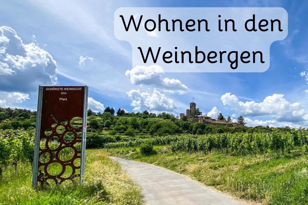 Photo of Others in Wachenheim an der Weinstrasse