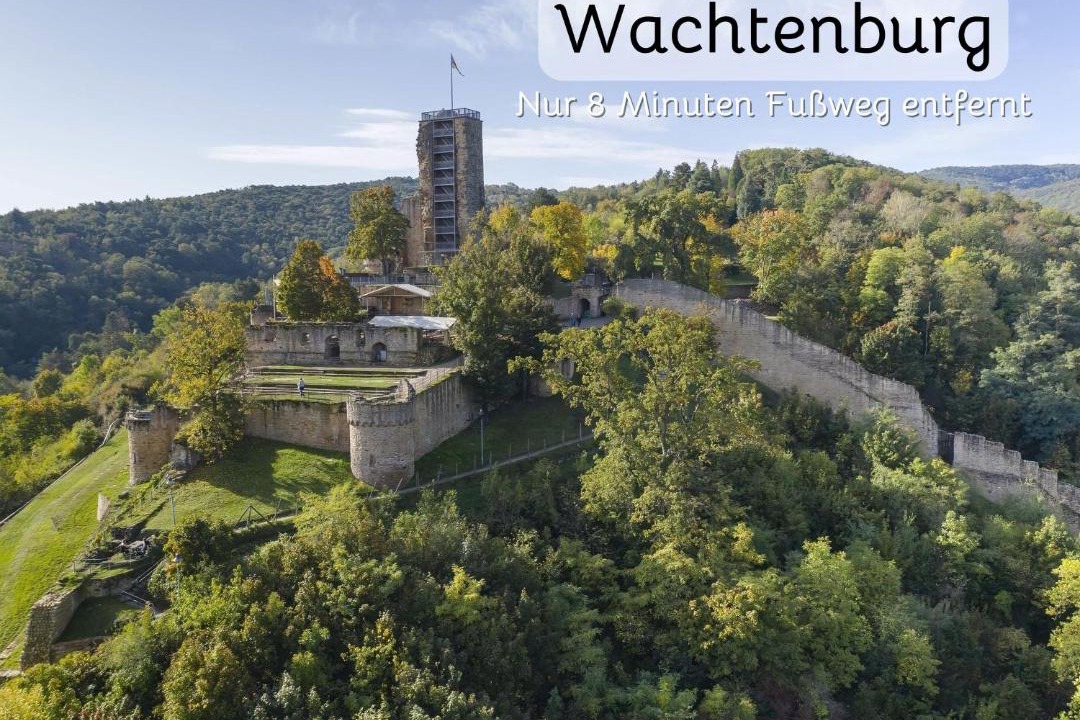 Photo of Others in Wachenheim an der Weinstrasse