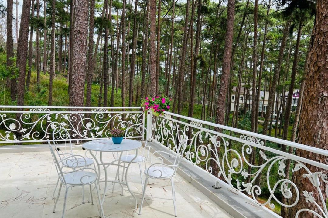 Photo of Others in Da Lat