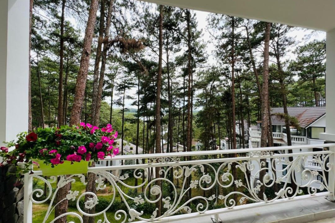 Photo of Others in Da Lat