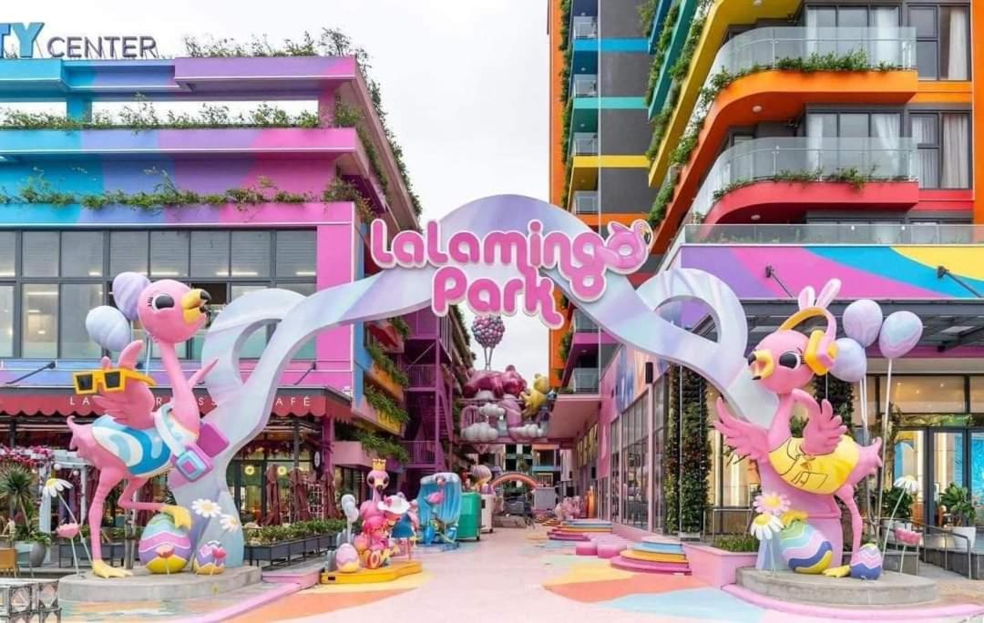 Photo of Others in Hoang Hoa