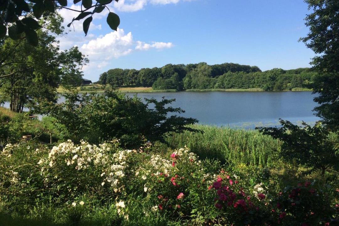 Photo of Others in Ponitz am See