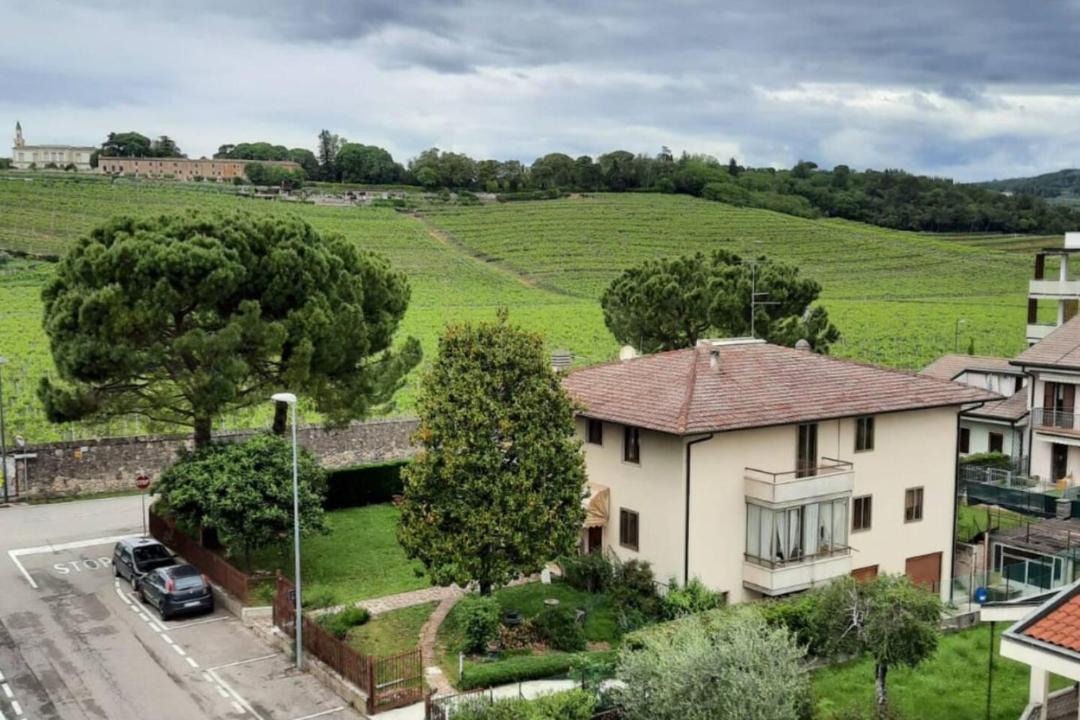 Photo of Others in San Martino Buon Albergo