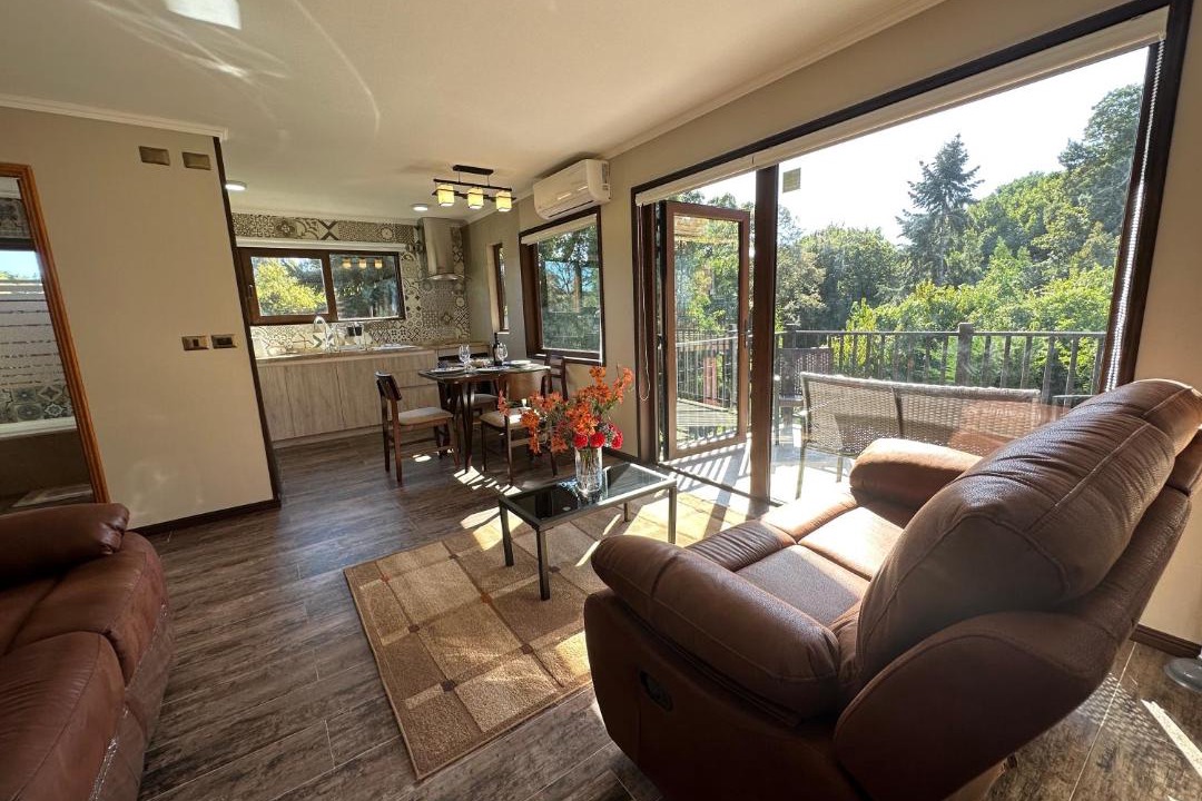 Photo of Livingroom in Osorno