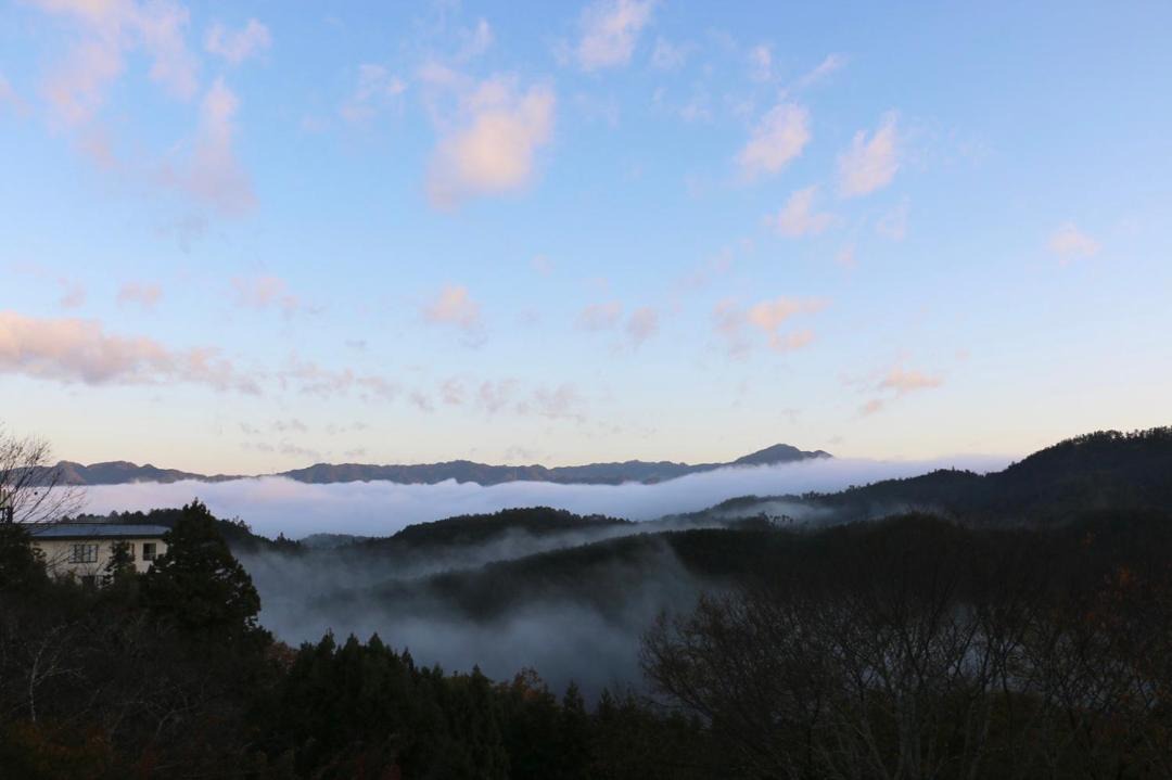 Photo of Others in Yoshino
