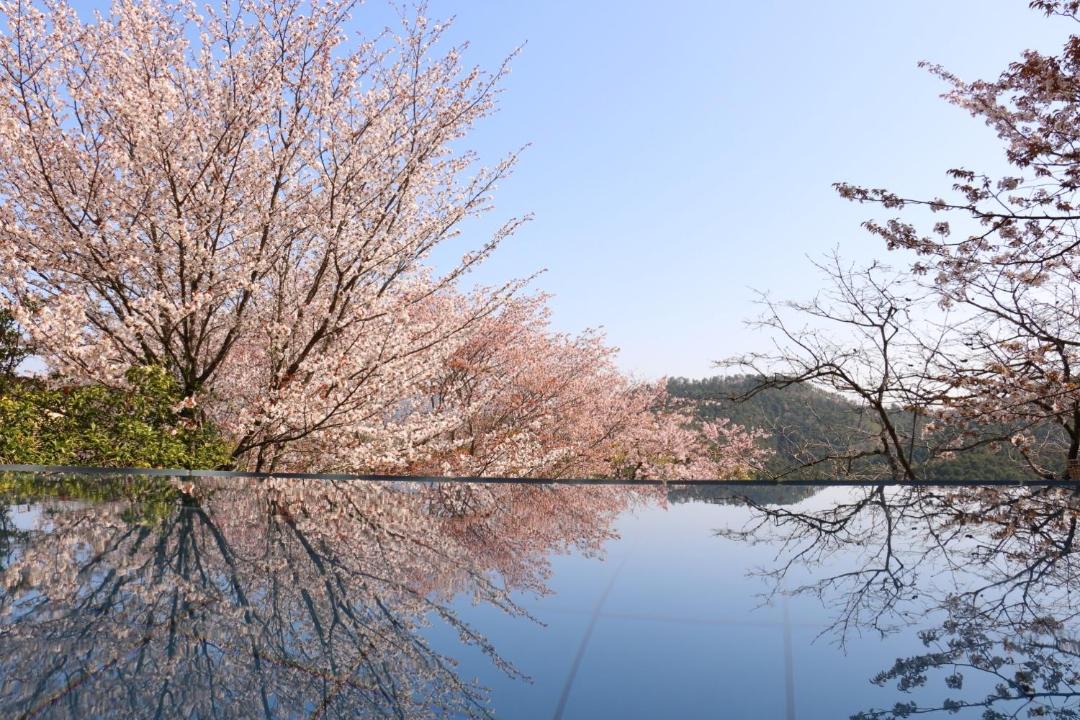 Photo of Others in Yoshino