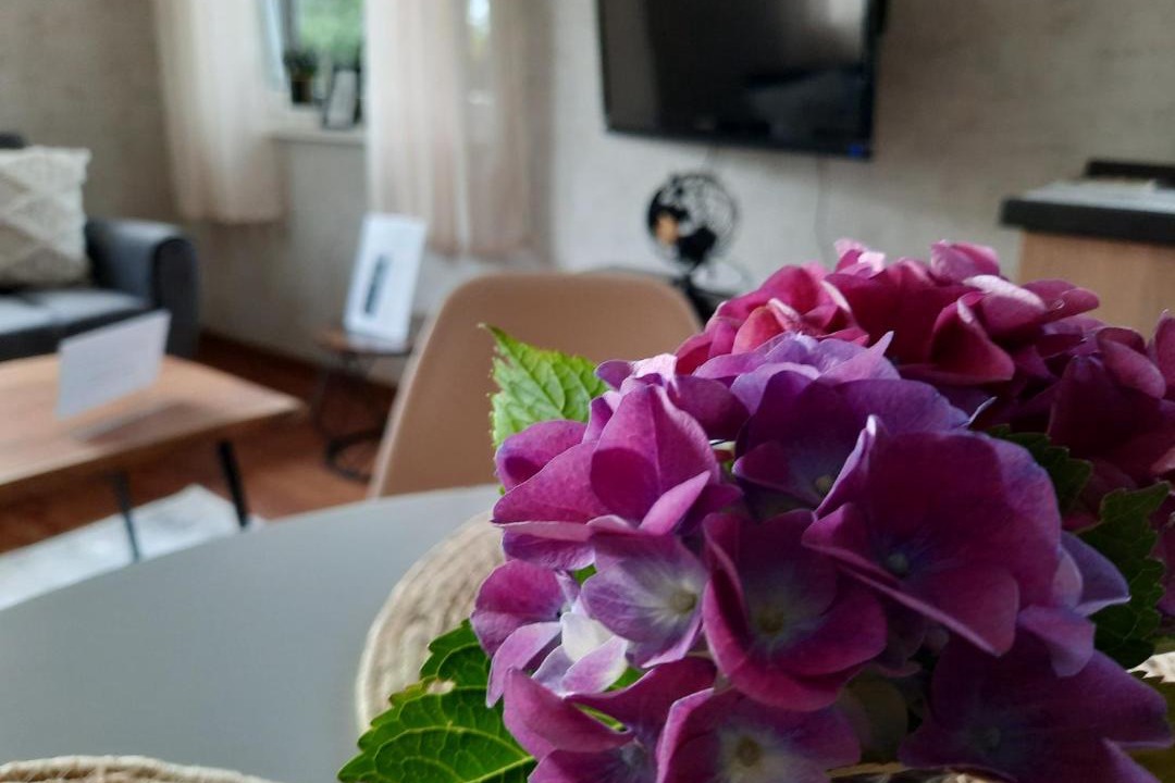 Photo of Livingroom in Bedekaspel