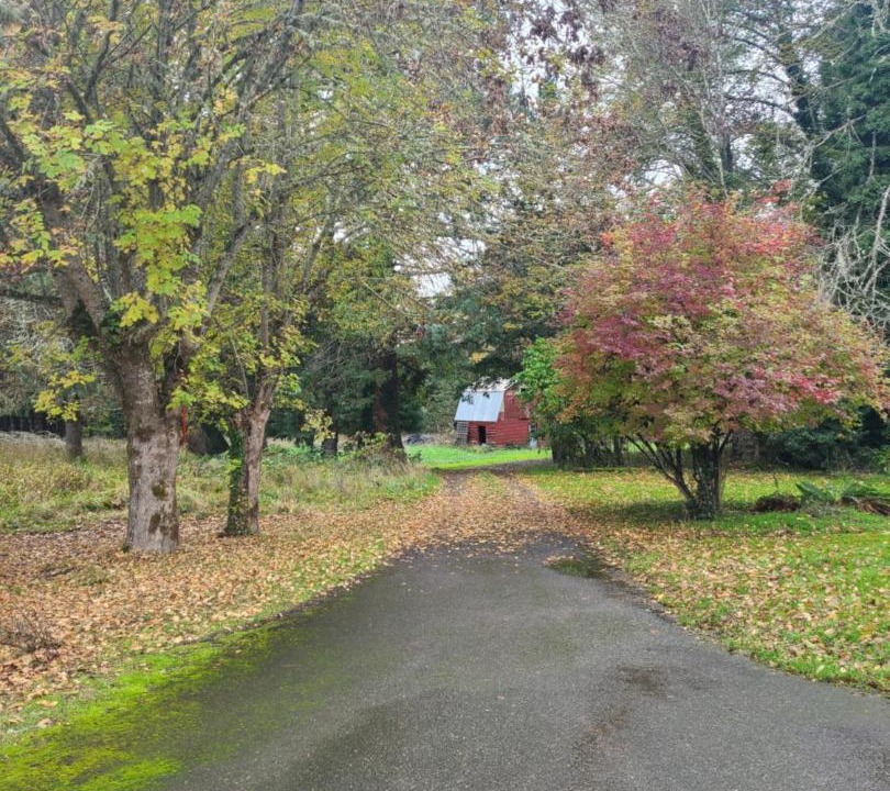 Photo of Outdoor in Douglas County