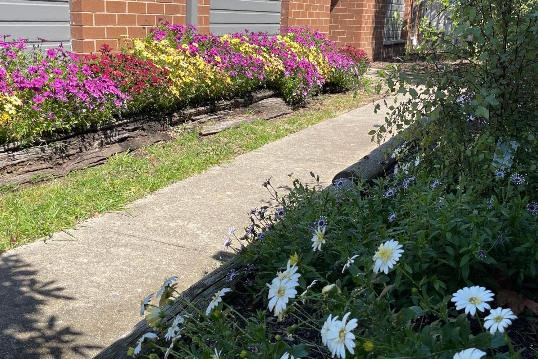 Photo of Outdoor in Whittington