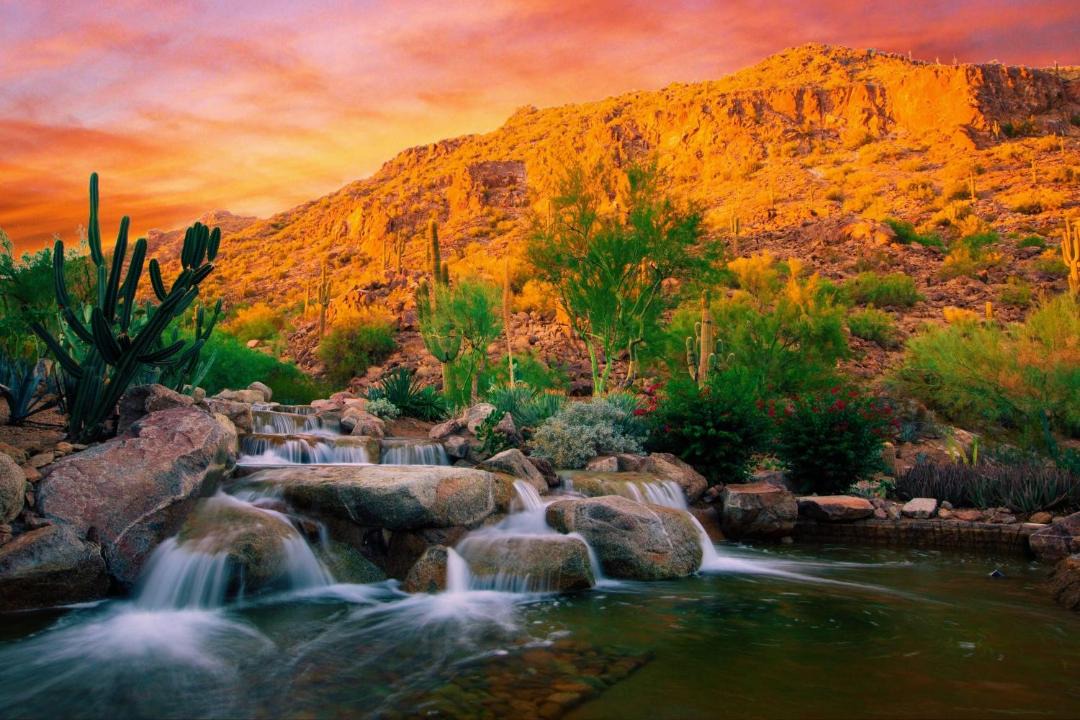 Photo of Others in Camelback East