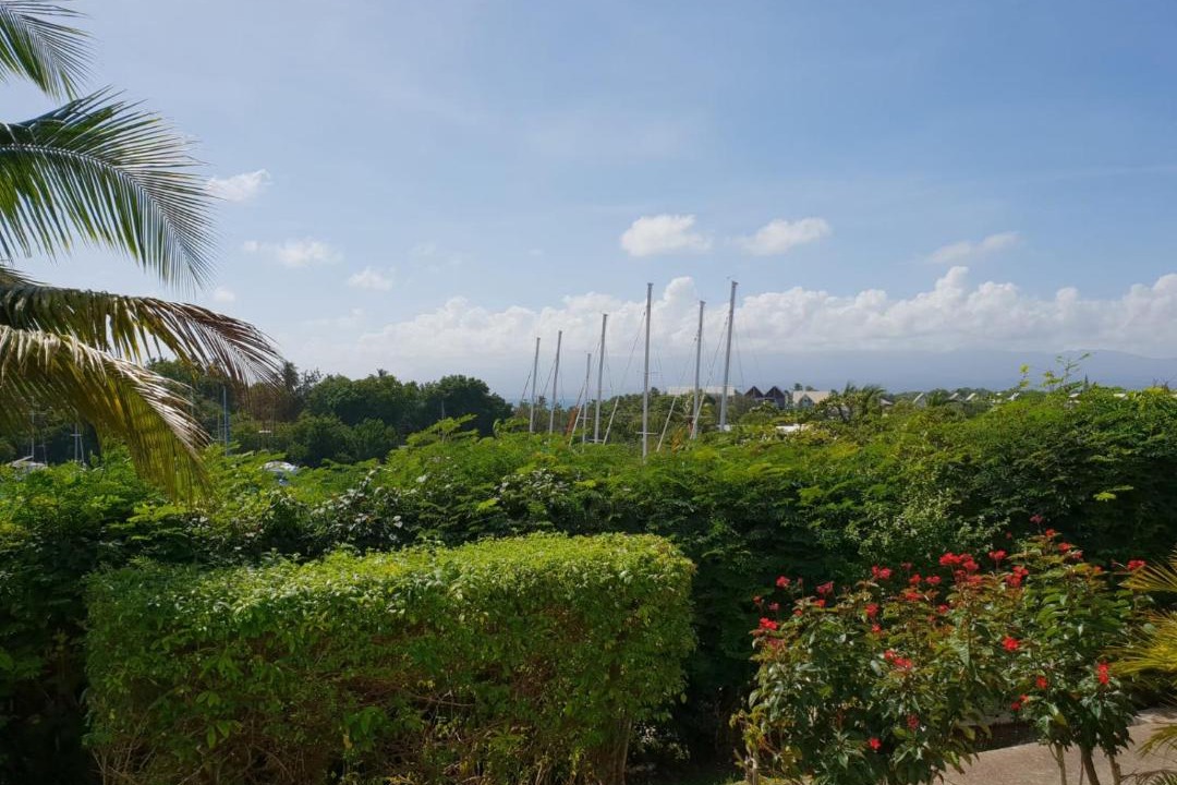 Photo of Others in Pointe-a-Pitre