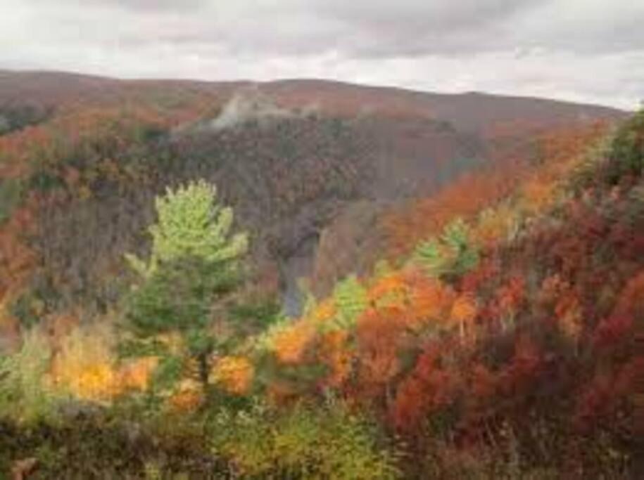 Photo of Outdoor in Wyalusing