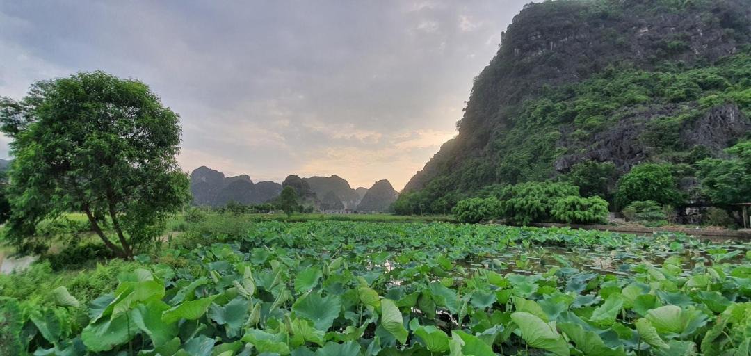Photo of Others in Ninh Binh