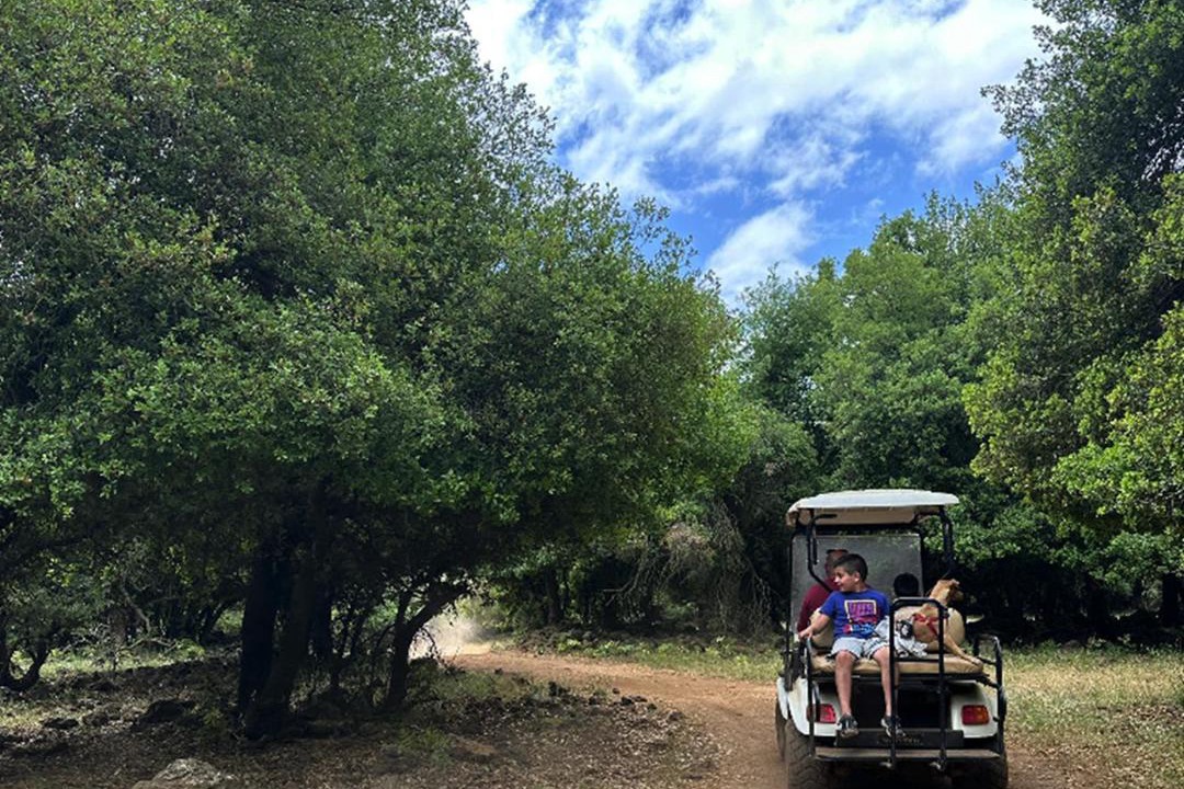 Photo of Outdoor in Odem