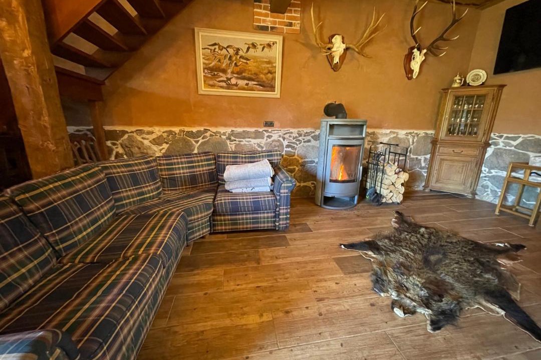 Photo of Livingroom in Torva