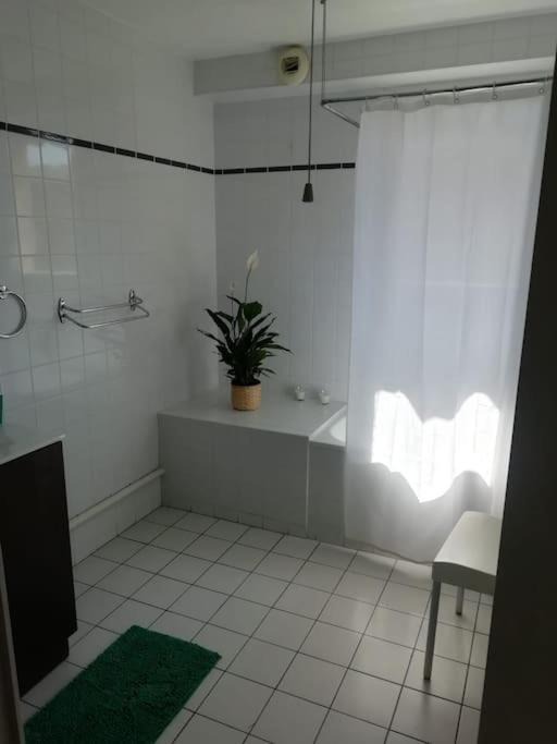 Photo of Bathroom in Saint-Bruno - Saint-Victor