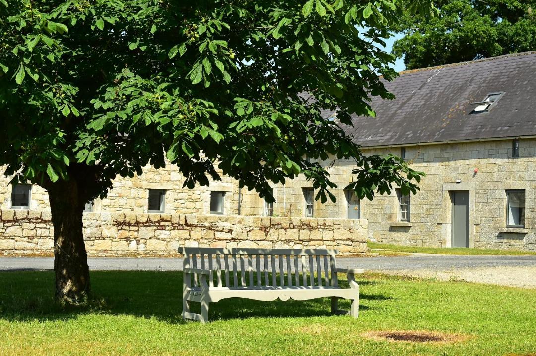 Photo of Others in Borris
