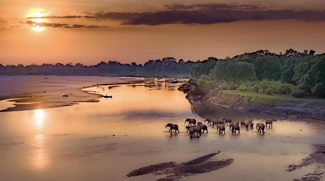 Photo of Human In Picture in South Luangwa National Park