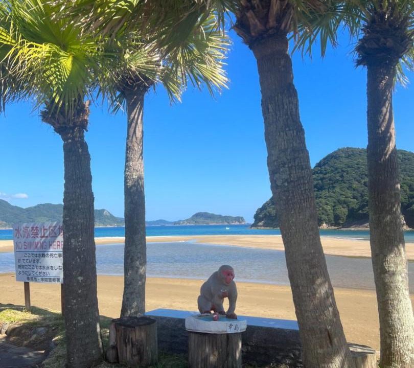 Photo of Others in Nichinan