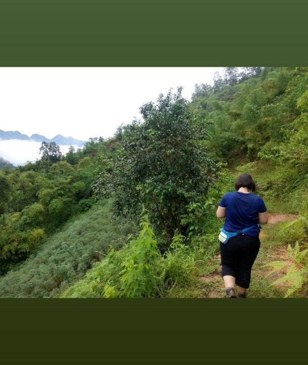 Photo of Others in Pu Long Nature Reserve