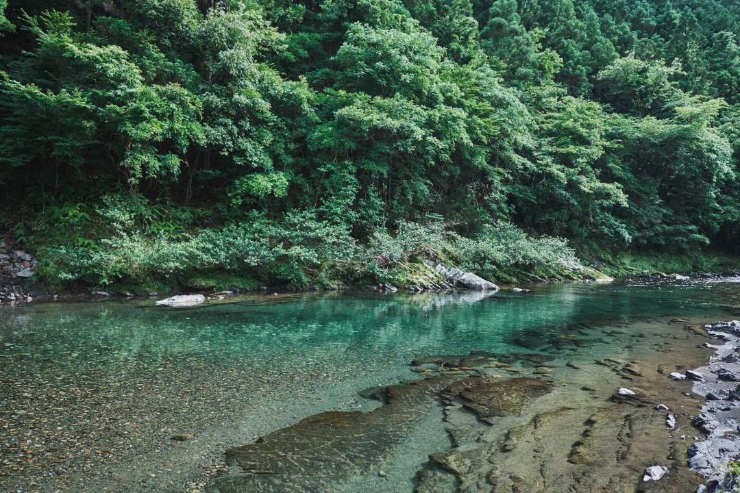 Photo of Others in Tanabe