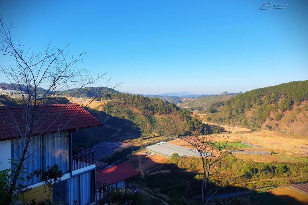 Photo of Others in Lac Duong