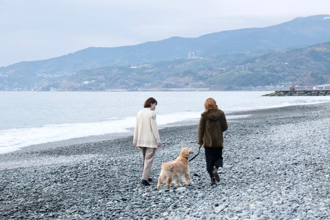 Photo of Others in Odawara