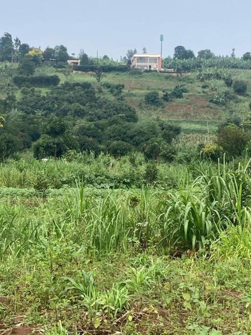 Photo of Others in Rwamagana
