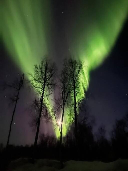 Photo of Others in Susitna North