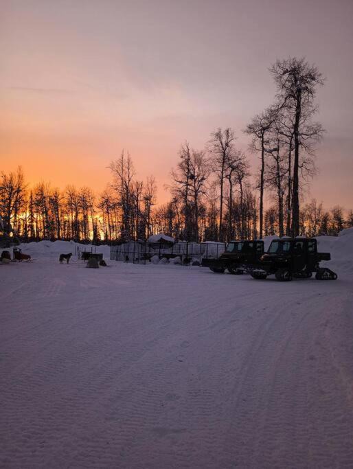 Photo of Others in Susitna North