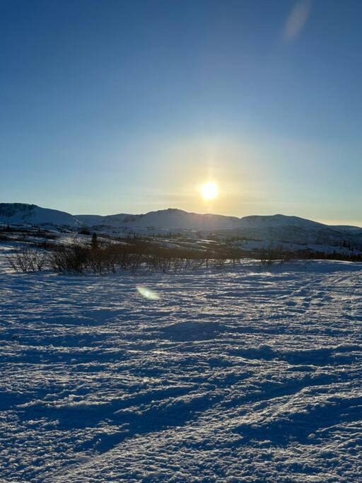 Photo of Others in Susitna North