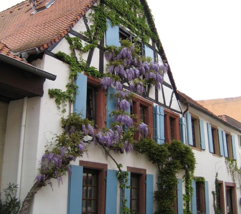 Photo of Others in Rhodt unter Rietburg