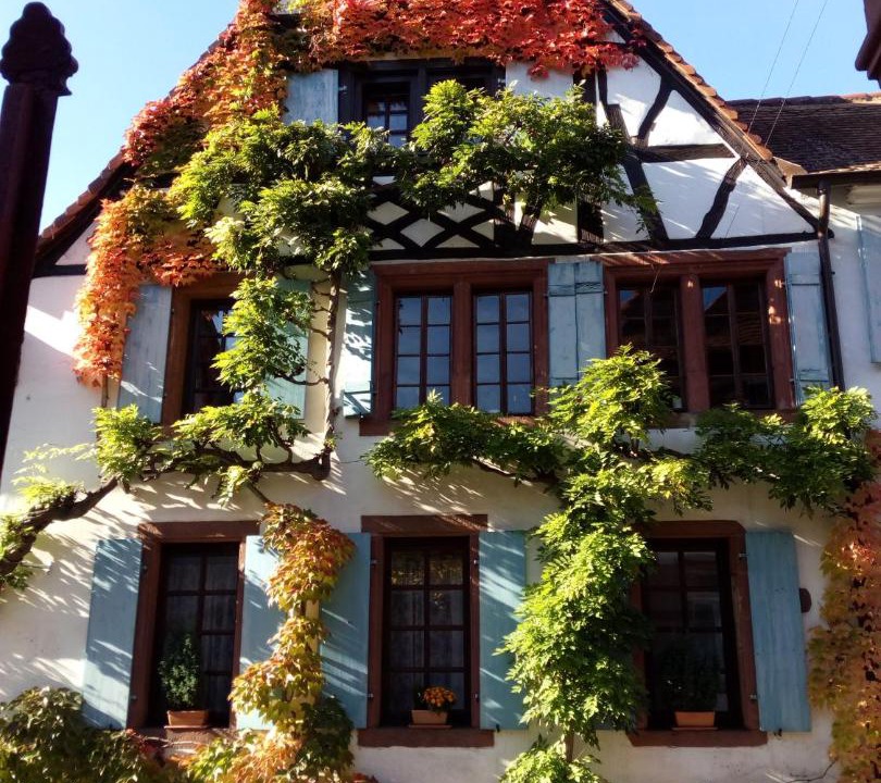 Photo of Others in Rhodt unter Rietburg