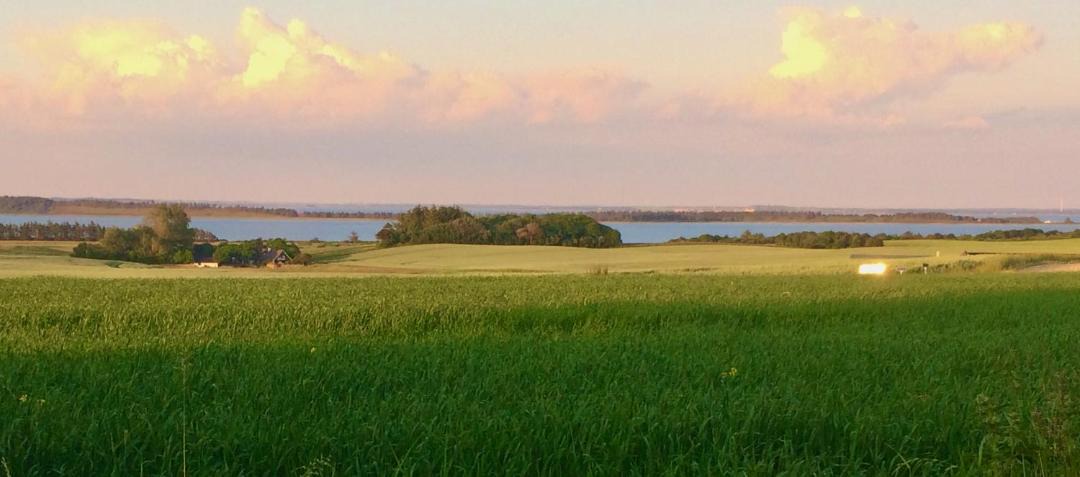 Photo of Others in Struer Municipality