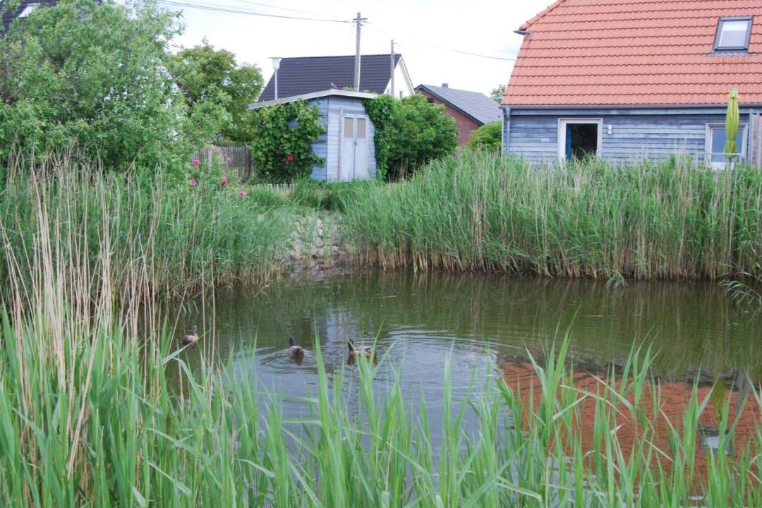 Photo of Others in Ribnitz-Damgarten