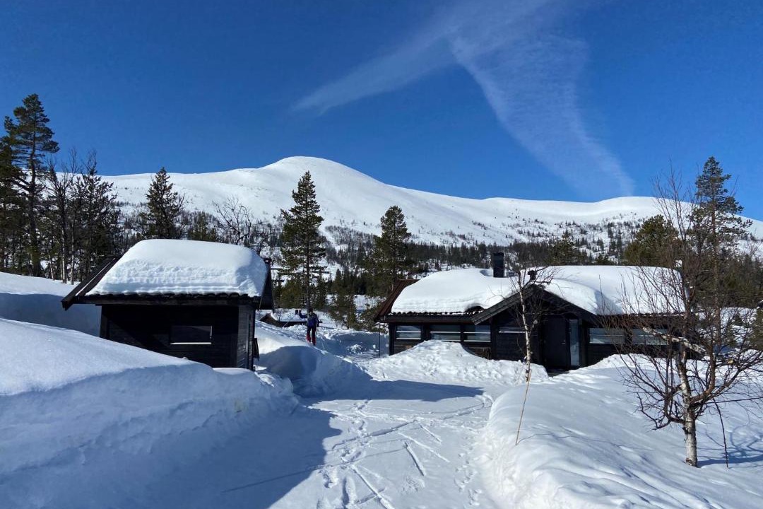 Photo of Others in Vikberget