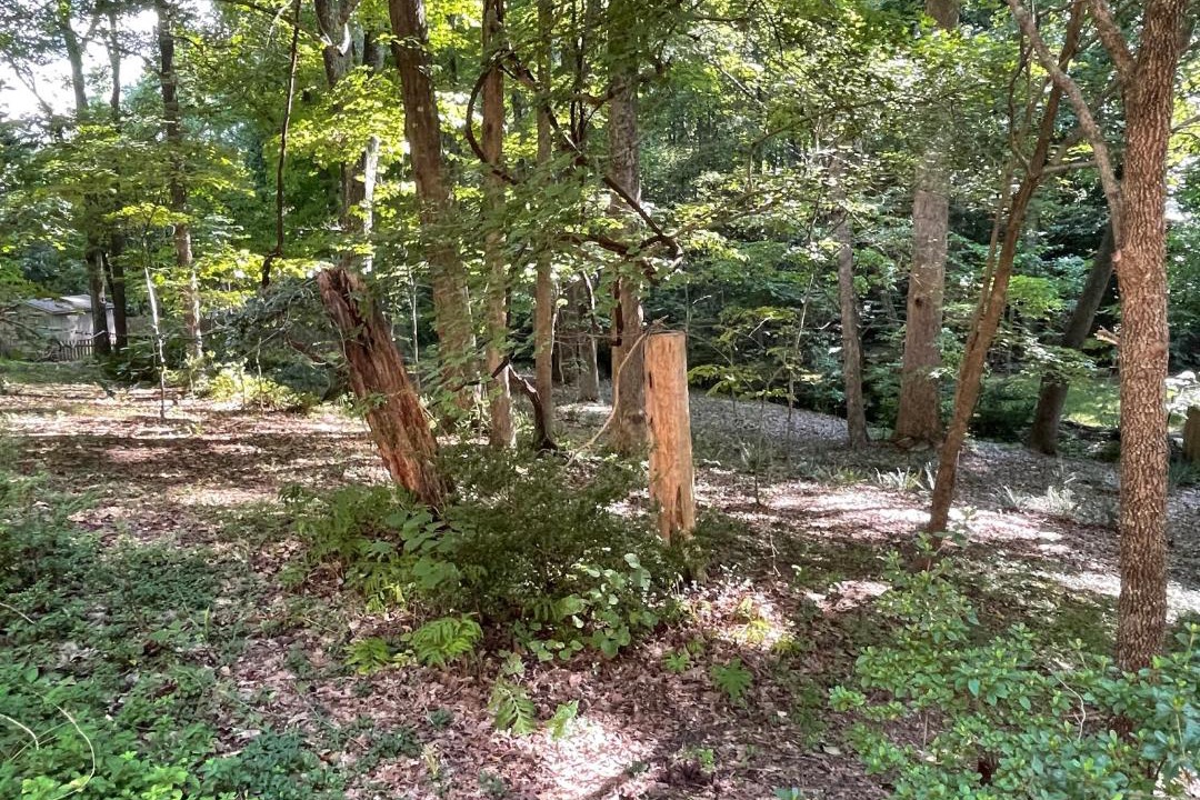 Photo of Others in High Point