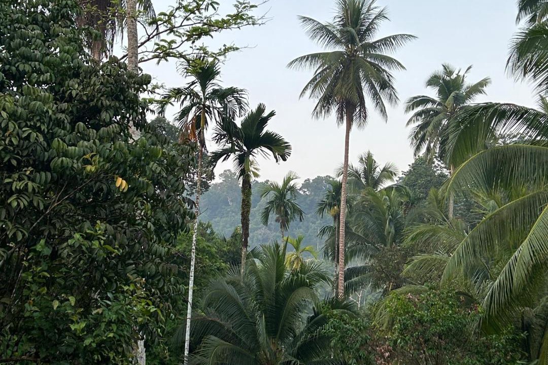Photo of Others in Ko Kood