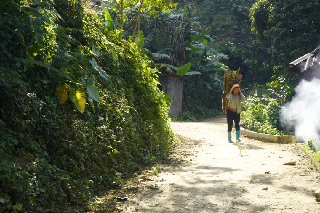 Photo of Others in Thuy Khue