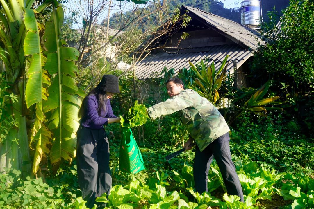 Photo of Others in Thuy Khue