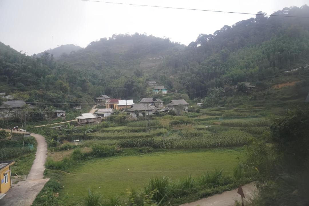 Photo of Others in Thuy Khue