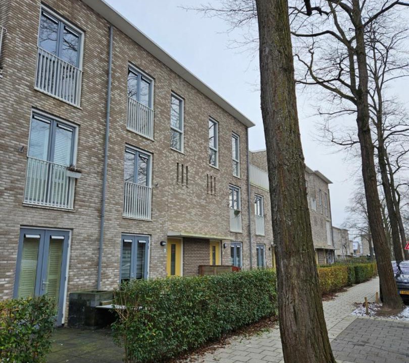 Photo of Others in Dordrecht