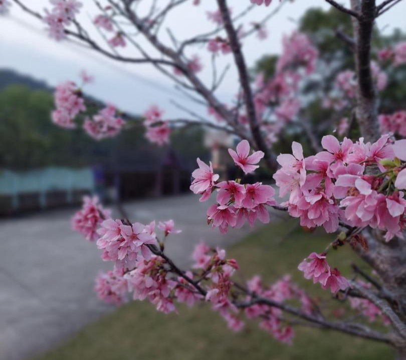 Photo of Others in Nanzhuang